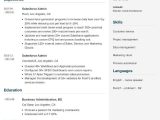 Business Analyst Salesforce Admin Sample Resume Salesforce Admin Resumeâexamples and 25lancarrezekiq Writing Tips