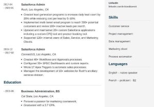 Business Analyst Salesforce Admin Sample Resume Salesforce Admin Resumeâexamples and 25lancarrezekiq Writing Tips