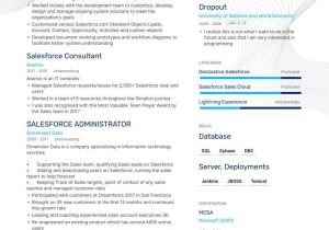 Business Analyst Salesforce Admin Sample Resume Salesforce Business Analyst Resume