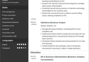 Business Analyst Salesforce Admin Sample Resume Salesforce Resumeâsamples, Skills, and 25lancarrezekiq Writing Tips