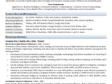 Business Analyst with Aladdin Sample Resume Product Owner Resume Monster.com