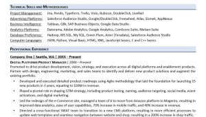 Business Analyst with Alladin Sample Resume Product Owner Resume Monster.com