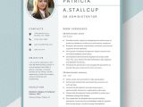 Business Analyst with Healthcare Mdw Resume Samples Administrator Resumes Templates – Design, Free, Download …
