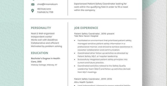 Business Analyst with Healthcare Mdw Resume Samples Coordinator Resumes Templates – Design, Free, Download Template.net