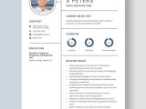 Business Analyst with Healthcare Mdw Resume Samples Executive Resume Templates – Design, Free, Download Template.net