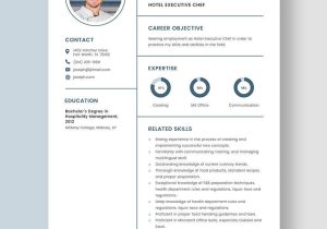 Business Analyst with Healthcare Mdw Resume Samples Executive Resume Templates – Design, Free, Download Template.net