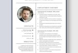 Business Analyst with Healthcare Mdw Resume Samples Investigator Resume Templates – Design, Free, Download Template.net
