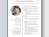 Business Analyst with Healthcare Mdw Resume Samples Investigator Resume Templates – Design, Free, Download Template.net