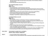 Business Analyst with Innotas Sample Resume Business Analyst with Insurance Domain Sample Resumes – Resume Gallery