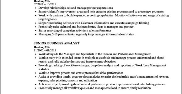 Business Analyst with Innotas Sample Resume Business Analyst with Insurance Domain Sample Resumes – Resume Gallery