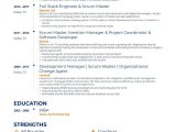Business Analyst with Sm Experience Resume Samples Agile Scrum Master Resume Examples & Guide for 2022 (layout …