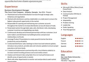 Business Develop Ent Engineer Sample Resume Business Development Manager Example 2022 Writing Tips – Resumekraft