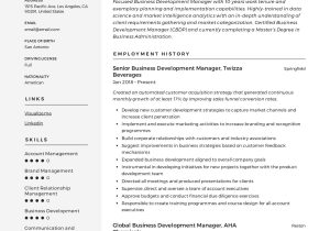 Business Develop Ent Engineer Sample Resume Business Development Manager Resume & Guide 2022