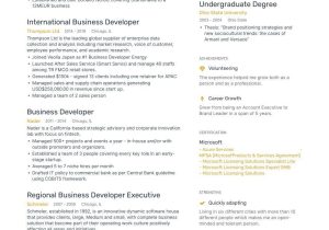 Business Develop Ent Engineer Sample Resume Business Development Resume Samples [4 Templates   Tips] (layout …