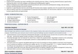 Business Development Executive Resume Sample India Business Development Manager Resume Examples & Template (with Job …