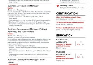 Business Development Executive Resume Sample India Business Development Resume Samples [4 Templates   Tips] (layout …