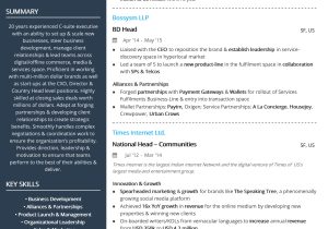 Business Development Executive Resume Sample India Free C Level Bd and Partnerships Executive Resume Sample 2020 by …