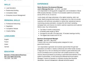 Business Development Executive Resume Sample India Senior Business Development Manager Resume Sample 2022 Writing …