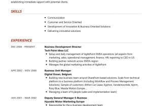 Business Development Executive Sample Resume India Business Development Director Resume Sample 2022 Writing Tips …