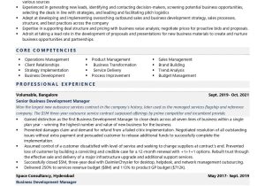 Business Development Executive Sample Resume India Business Development Manager Resume Examples & Template (with Job …