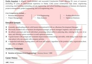 Business Development Executive Sample Resume India Business Development Sample Resumes, Download Resume format Templates!
