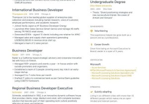 Business Development Manager Resume Objective Sample Business Development Resume Samples [4 Templates   Tips] (layout …