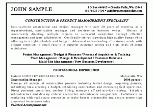 Business Development Manager Resume Sample India Business Development Manager Resume Sample India Best