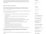 Business Development Manager Resume Sample Pdf Business Development Manager Resume & Guide