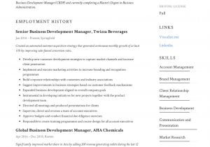 Business Development Manager Resume Sample Pdf Business Development Manager Resume & Guide