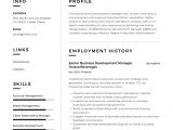 Business Development Manager Resume Sample Pdf Business Development Manager Resume & Guide