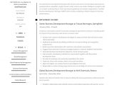 Business Development Manager Resume Sample Pdf Business Development Manager Resume & Guide