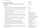Business Development Manager Resume Sample Pdf Business Development Manager Resume & Guide