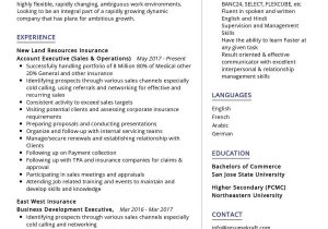 Business Development Manager Resume Sample Pdf Business Development Manager Resume Sample 2021