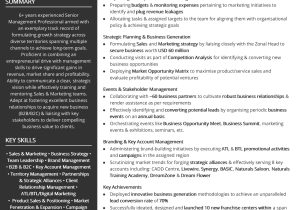 Business Development Technical Sales Resume Sample Business Development Resume Examples & Resume Samples [2020]