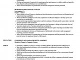 Business Intelligence Analyst Resume Sample Pdf Business Intelligence Analyst Resume