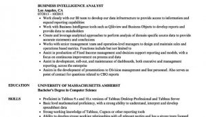 Business Intelligence Analyst Resume Sample Pdf Business Intelligence Analyst Resume