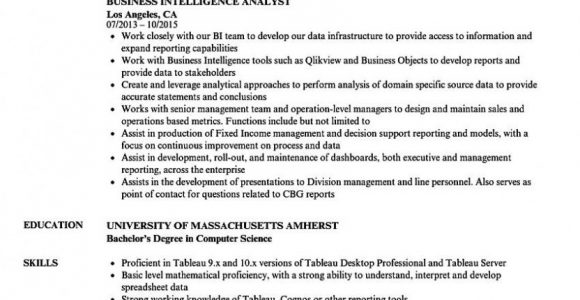 Business Intelligence Analyst Resume Sample Pdf Business Intelligence Analyst Resume