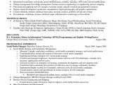 Business Intelligence Analyst Resume Sample Pdf Business Intelligence Analyst Resume Sample Pdf