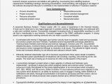 Business Intelligence Analyst Resume Sample Pdf Intelligence Analyst Resumes – Salescvfo