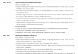 Business Intelligence Analyst Resume Sample Pdf Professional Business Intelligence Analyst Resume