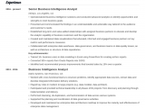 Business Intelligence Analyst Resume Sample Pdf Professional Business Intelligence Analyst Resume