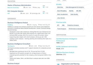 Business Intelligence and Analytics Sample Resume Business Intelligence Resume Examples   Templates & Expert Advice …