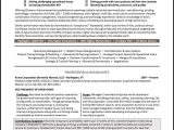 Business Process Improvement Vice President Resume Sample Vice President Resume Example – Distinctive Career Services