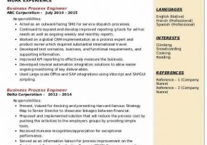 Business Process Re Engineering Sample Resume Business Process Engineer Resume Samples