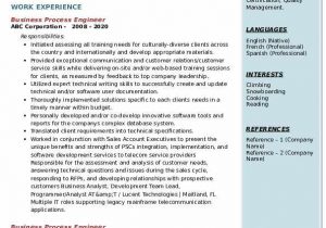 Business Process Re Engineering Sample Resume Business Process Engineer Resume Samples