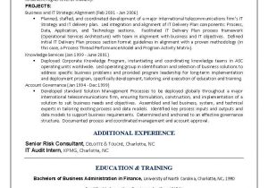 Business Process Re Engineering Sample Resume It Resume Engineering Sample Resume Business Architect