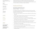 Business to Business Sales Resume Sample Guide Small Business Sales Manager Resume [x12] Sample