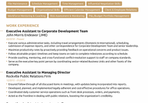 C Level Executive assistant Resume Sample C Level Executive assistant Resume Samples Finder Jobs