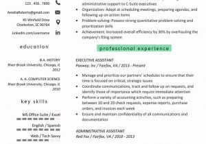 C Level Executive assistant Resume Sample C Level Executive assistant Resume Unique Executive