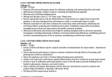 Call Center Operations Manager Resume Sample Call Center Resume for Quality Analyst In Bpo the Server